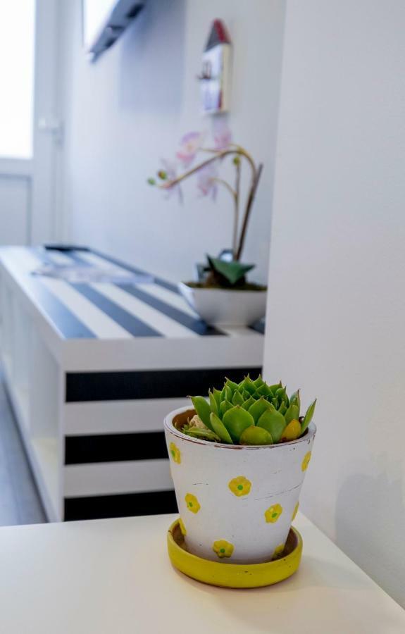 Le Petit Apartment